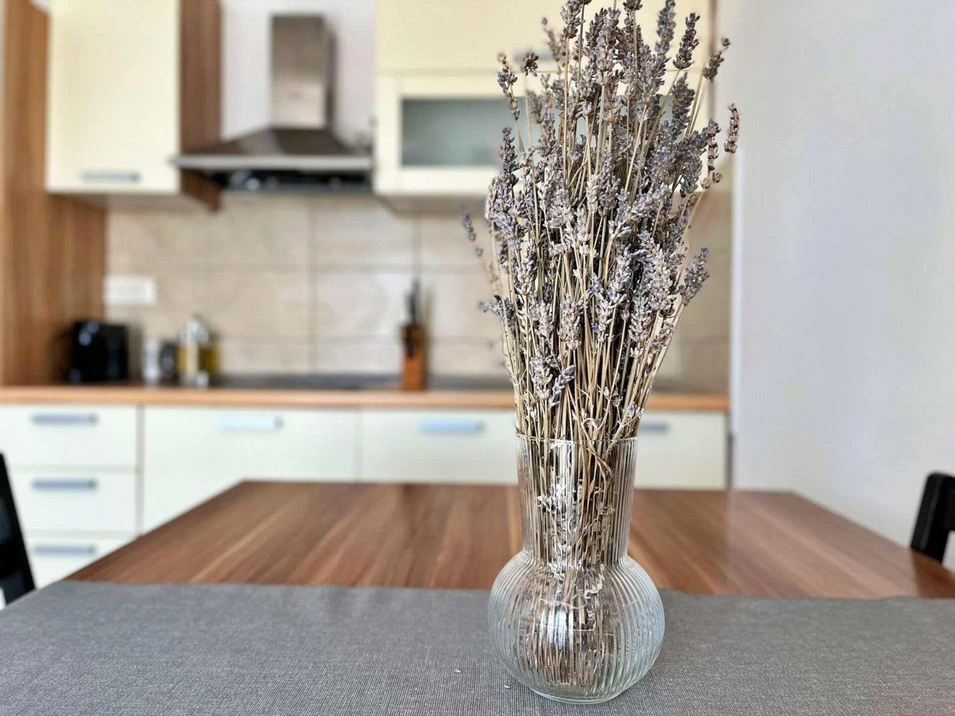 Čižići Apartments Pinta De Sol מראה חיצוני תמונה