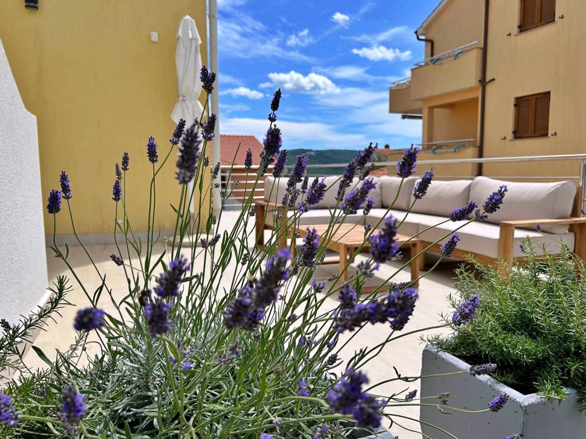 Čižići Apartments Pinta De Sol מראה חיצוני תמונה